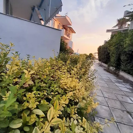 Iris Seafront *